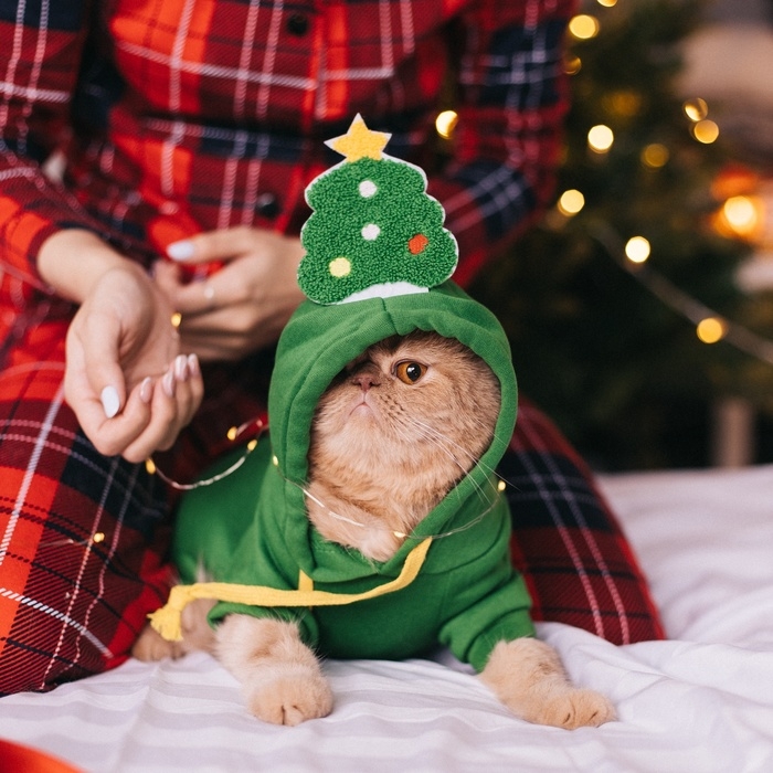 Костюм для животных Костюм для животных "Ёлка", размер M, зелёный