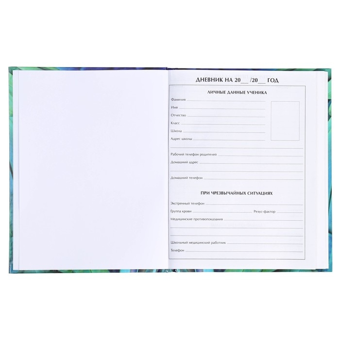 Дневник для 5-11 классов, "Перья", твердая обложка 7БЦ, глянцевая ламинация, 48 листов