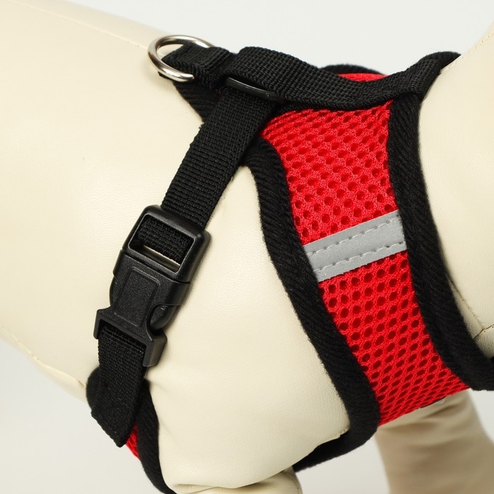 Комплект амуниции с мягкой шлейкой и светоотражающей нашивкой, L, ОШ 33 см, ОГ 36-48, красный 761309 Комплект амуниции с мягкой шлейкой и светоотражающей нашивкой, L, ОШ 33 см, ОГ 36-48, красный 761309