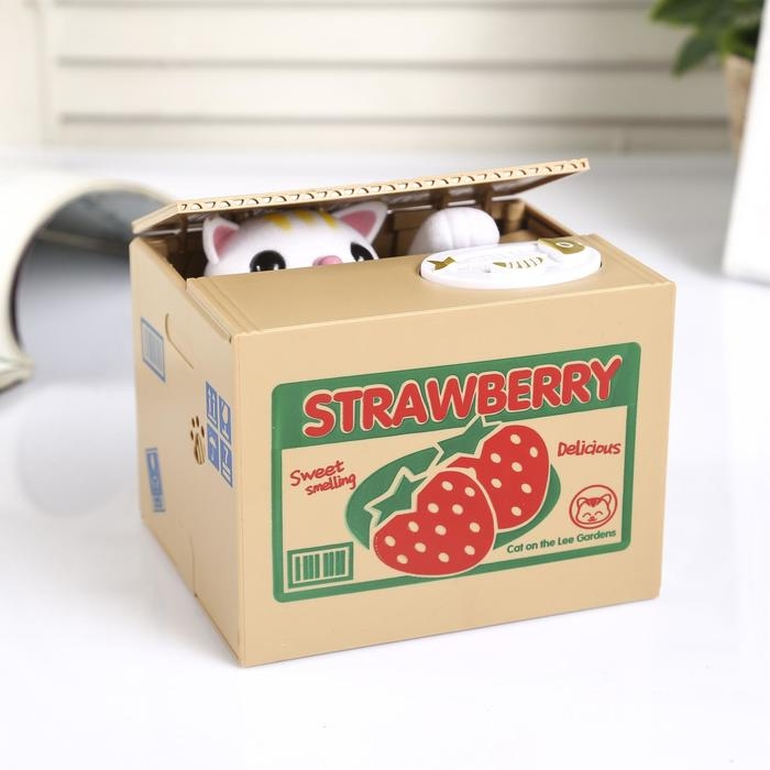 Копилка пластик Копилка пластик "Киска прячет монетки" МИКС 10х9х10 см