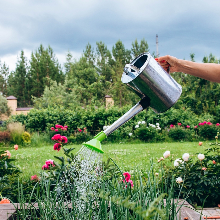 Лейка, 5 л, с рассеивателем, оцинкованная, без рисунка, носик d = 25 мм Лейка, 5 л, с рассеивателем, оцинкованная, без рисунка, носик d = 25 мм