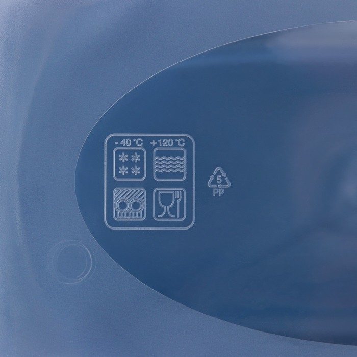 Набор прямоугольных контейнеров для замораживания продуктов «Морозко», 1 л , 3 шт, прозрачные, крышки микс Набор прямоугольных контейнеров для замораживания продуктов «Морозко», 1 л , 3 шт, прозрачные, крышки микс