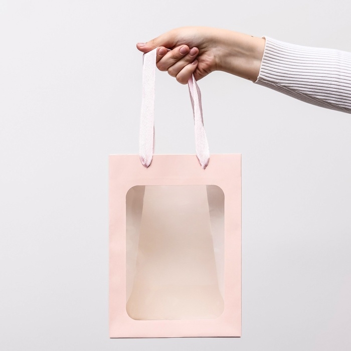 Пакет подарочный, с окном, 25 х 18 х 13 см, розовый Пакет подарочный, с окном, 25 х 18 х 13 см, розовый