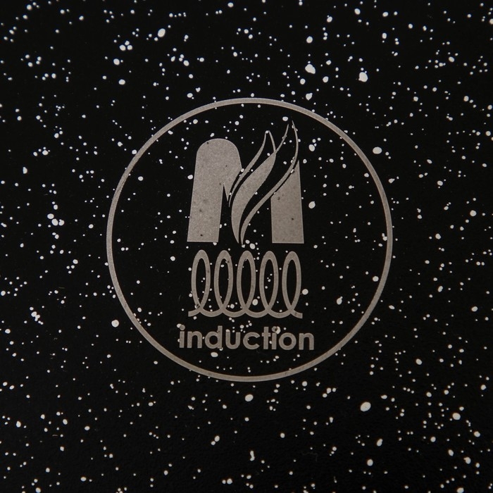 Жаровня «Гранит Black» Induction Pro, 4 л, d=28см, стеклянная крышка, антипригарное покрытие, индукция, цвет чёрный Жаровня «Гранит Black» Induction Pro, 4 л, d=28см, стеклянная крышка, антипригарное покрытие, индукция, цвет чёрный