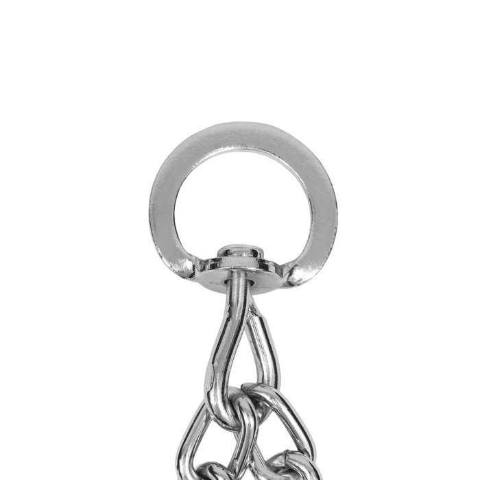 Ошейник - полуудавка строгий с защитными колпачками, 3,5 мм х 55 см Ошейник - полуудавка строгий с защитными колпачками, 3,5 мм х 55 см