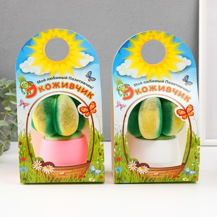 Растущий подарок травка Экоживчик Растущий подарок травка Экоживчик "Кактус Астрофитум" МИКС