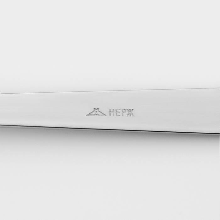 Ложка столовая «Аппетит», длина 19,5 см, толщина 2 мм, цвет серебряный Ложка столовая «Аппетит», длина 19,5 см, толщина 2 мм, цвет серебряный