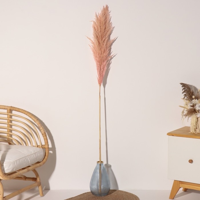 Сухоцвет Сухоцвет "Кортадерия", 1 ветка, длина 140-150 см, персиковый