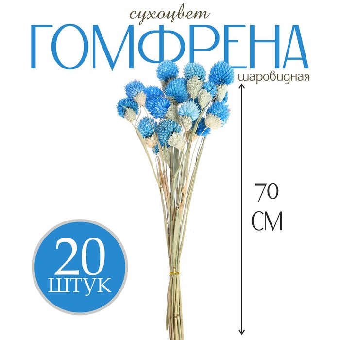 Сухоцвет «Гомфрена шаровидная» набор 20 шт., цвет голубой Сухоцвет «Гомфрена шаровидная» набор 20 шт., цвет голубой