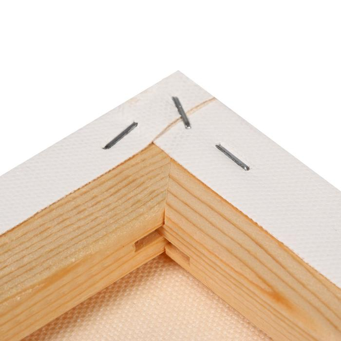 Холст на подрамнике, хлопок 100%, акриловый грунт, 2 х 50 х 70 см, 400 г/м2, крупное зерно, Гамма Холст на подрамнике, хлопок 100%, акриловый грунт, 2 х 50 х 70 см, 400 г/м2, крупное зерно, Гамма "Студия"