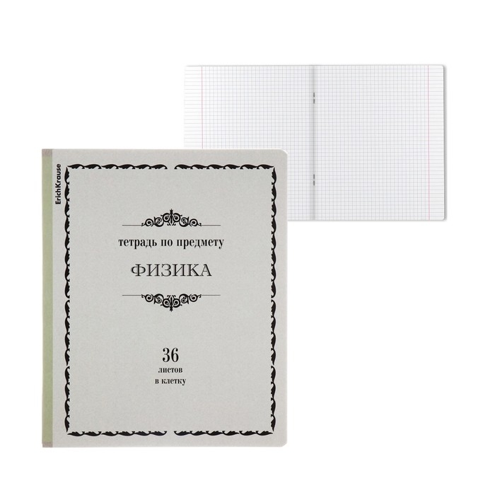 Тетрадь предметная ФИЗИКА, 36 листов в клетку, ErichKrause Тетрадь предметная ФИЗИКА, 36 листов в клетку, ErichKrause "Академкнига", обложка мелованный картон, блок офсет 100% белизна, инфо-блок