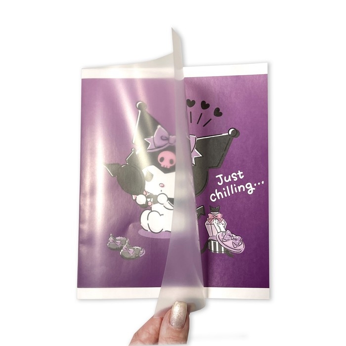 Тетрадь 48 листов в клетку Kuromi+MyMelody+HK, обложка картон, в дополнительной ПВХ обложке, блок 60 г/м2, МИКС Тетрадь 48 листов в клетку Kuromi+MyMelody+HK, обложка картон, в дополнительной ПВХ обложке, блок 60 г/м2, МИКС