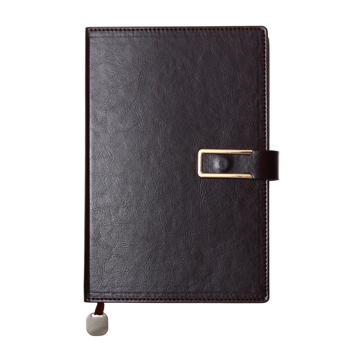 Ежедневник недатированный, обложка ПВХ, формат А5, 140 листов, клетка, с ручкой, подарочная коробка, МИКС Ежедневник недатированный, обложка ПВХ, формат А5, 140 листов, клетка, с ручкой, подарочная коробка, МИКС