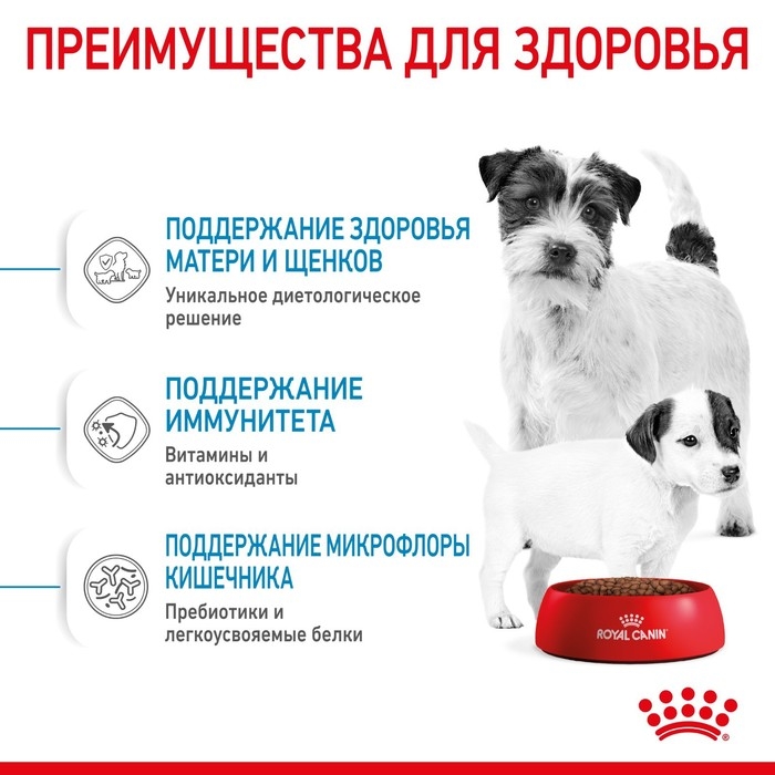 Сухой корм RC Mini Starter Mother & Babydog для щенков, 1 кг Сухой корм RC Mini Starter Mother & Babydog для щенков, 1 кг