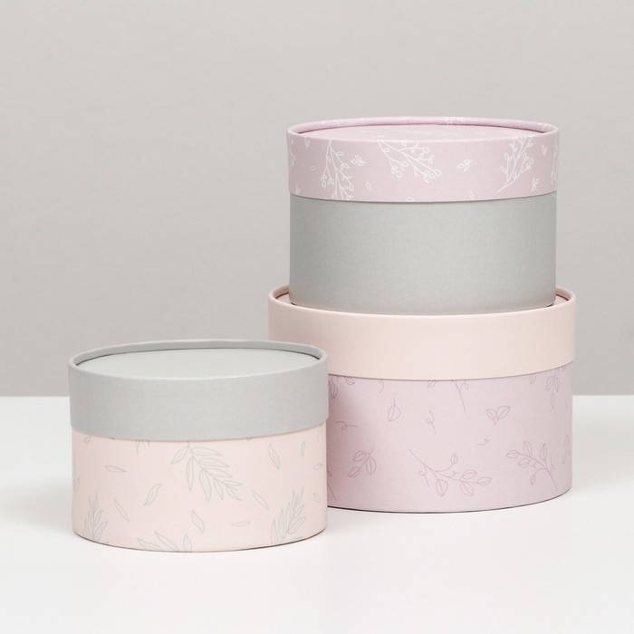 Набор шляпных коробок 3 в 1 Набор шляпных коробок 3 в 1 "Пастель", завальцованная, 16 х 10, 14 х 9, 13 х 8,5 см
