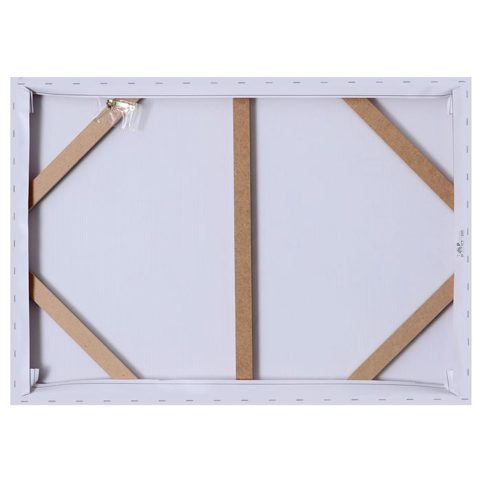 Картина на холсте Картина на холсте "Загадка" 50х70 см