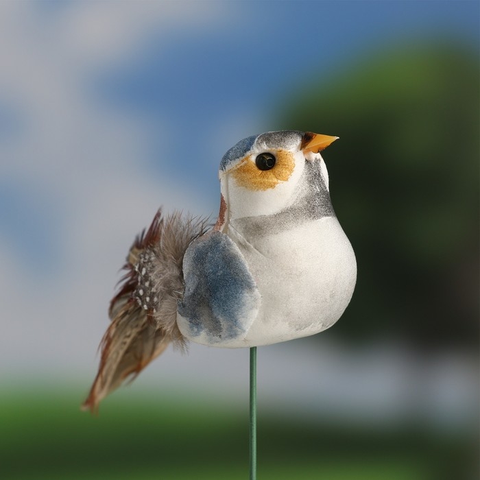 Штекер Штекер "Птичка Невеличка" 3х5см, длина 9см