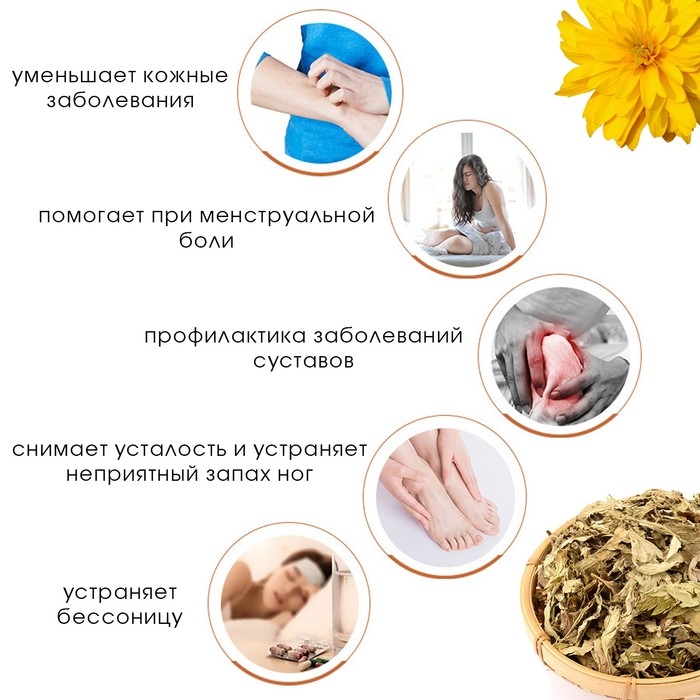 Травяной сбор для запарки ног   Травяной сбор для запарки ног  "Полынь и хризантема", набор 5 шт
