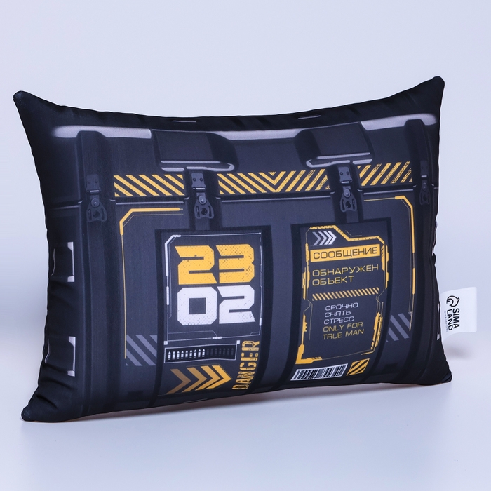 Подушка антистресс «Мир принадлежит тебе», 30 х 22 см