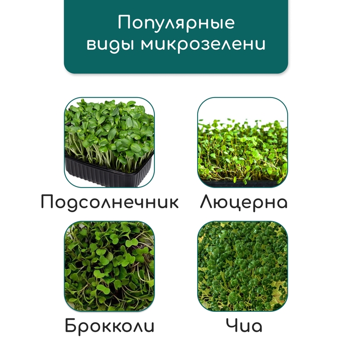 Коврик из кокосового волокна, для выращивания микрозелени, 50 × 25 см, Greengo Коврик из кокосового волокна, для выращивания микрозелени, 50 × 25 см, Greengo