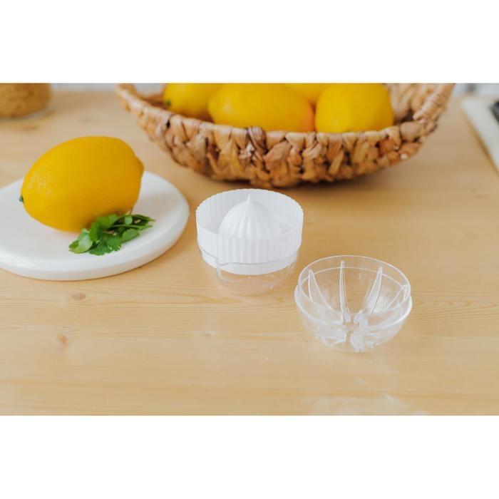 Соковыжималка для цитрусовых с лотком и крышкой Доляна, d=7,5 см, 7×7×8 см, цвет МИКС Соковыжималка для цитрусовых с лотком и крышкой Доляна, d=7,5 см, 7×7×8 см, цвет МИКС