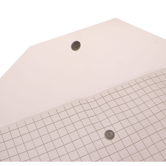 Набор папок-конвертов на кнопке А4, 180 мкр, 12 штук, клетка прозрачная