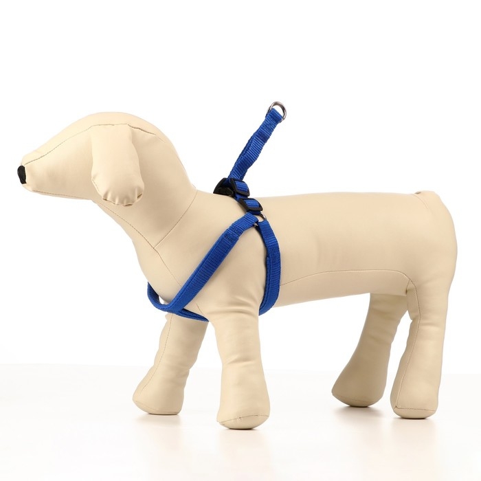 Шлейка Шлейка "Комфорт" комбинированная, 1,5 см, ОШ 36-50 см, ОГ 40-55 см, синяя