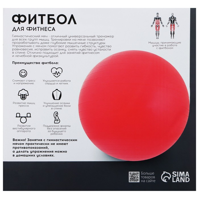 Фитбол ONLYTOP, d=45 см, 500 г, цвета МИКС Фитбол ONLYTOP, d=45 см, 500 г, цвета МИКС