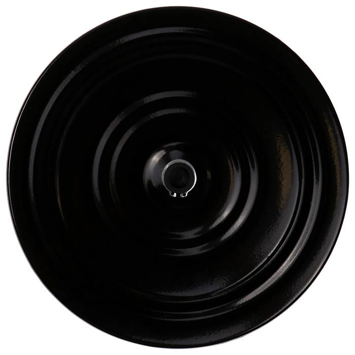 Диск здоровья, металлический, d=28 см, двухцветный Диск здоровья, металлический, d=28 см, двухцветный