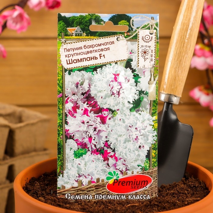 Семена цветов Петуния бахромчатая, крупноцветковая Семена цветов Петуния бахромчатая, крупноцветковая "Шампань" F1