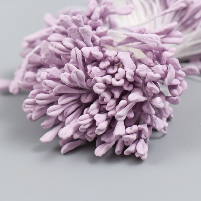 Тычинки для цветов Тычинки для цветов "Сирень" набор 360 шт длина 6 см