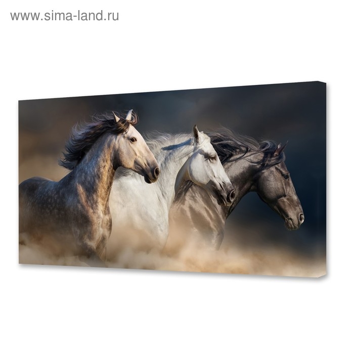 Картина на холсте Картина на холсте "Лошадиная сила" 50х100 см