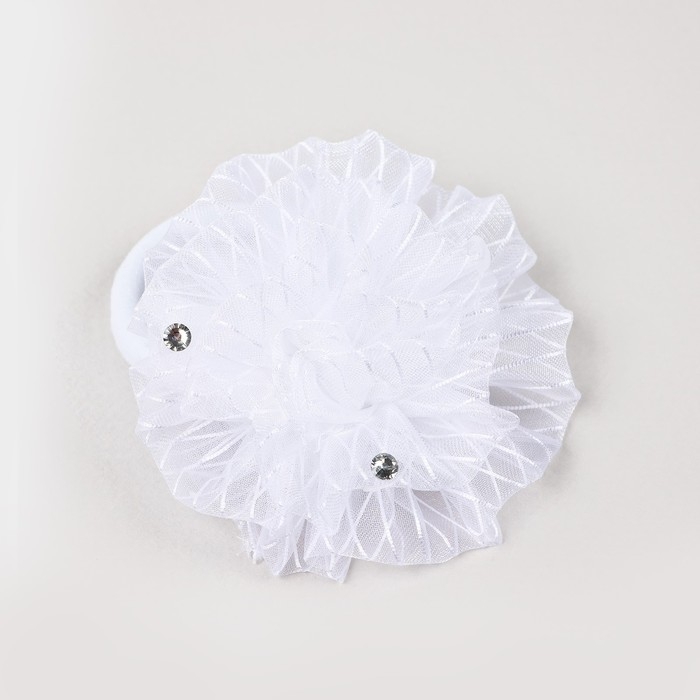 Бант для волос «Нежной девочке» школьный, 2 шт. Бант для волос «Нежной девочке» школьный, 2 шт.