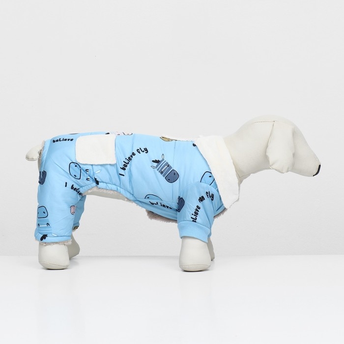 Комбинезон Комбинезон "Метель", размер M (ДС 30 см, ОГ 40, ОШ 27 см), голубой