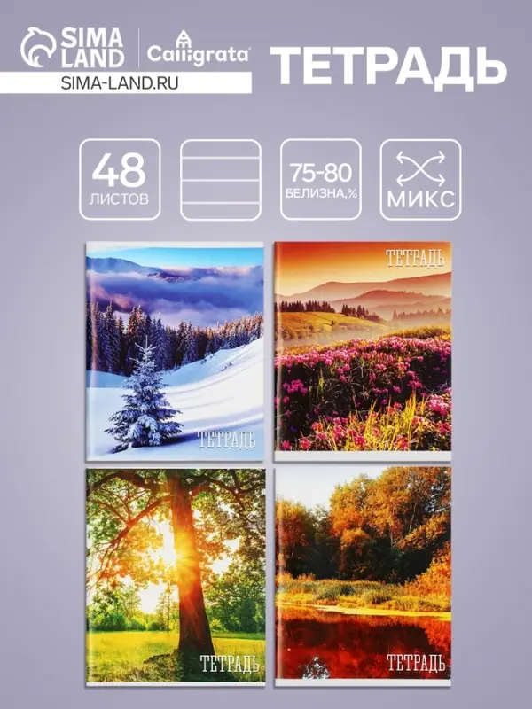 Тетрадь 48 листов в клетку, Calligrata «Времена года», обложка мелованная бумага, серые листы, МИКС