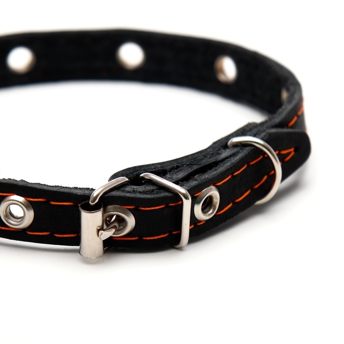 Ошейник кожаный однослойный с рифлеными люверсами, 35х1,2 см, ОШ 10-28 см, безразмерный, микс цветов Ошейник кожаный однослойный с рифлеными люверсами, 35х1,2 см, ОШ 10-28 см, безразмерный, микс цветов