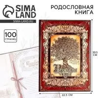 Родословная книга &laquo;Древо&raquo;, 50 листов, 30.5&times;22.5 см