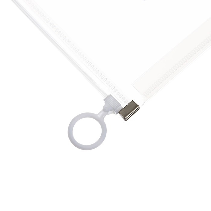 Папка-конверт на молнии формат А5, 180мкр, с рисунком Папка-конверт на молнии формат А5, 180мкр, с рисунком "Звери на скейтборде и сноуборде", МИКС