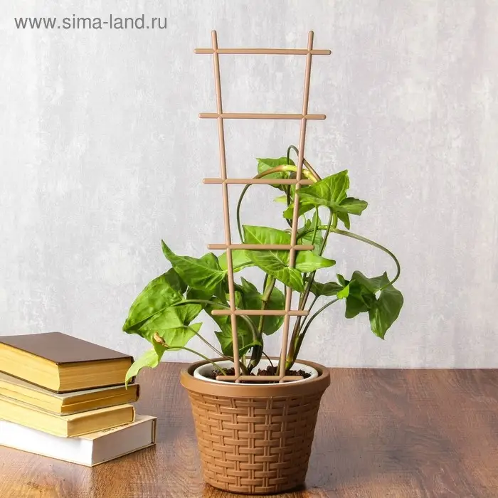 Шпалера, 56 × 19 × 0.5 см, пластик, цвет МИКС, «Лесенка» Шпалера, 56 × 19 × 0.5 см, пластик, цвет МИКС, «Лесенка»