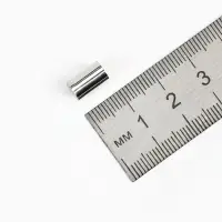 Замок-концевик магнитный, 5 шт. L=20 мм, внутренний d=6 мм, цвет серебро