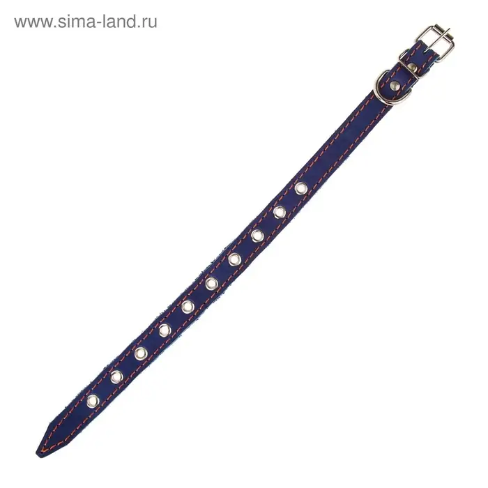 Ошейник однослойный безразмерный, 45&times;2 см, ОШ 18-39 см, кожа, синий