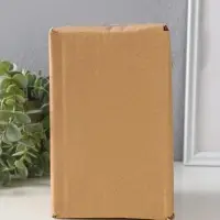 Сувенир полистоун "Филин. Золотые круги" 10х10х15,5 см