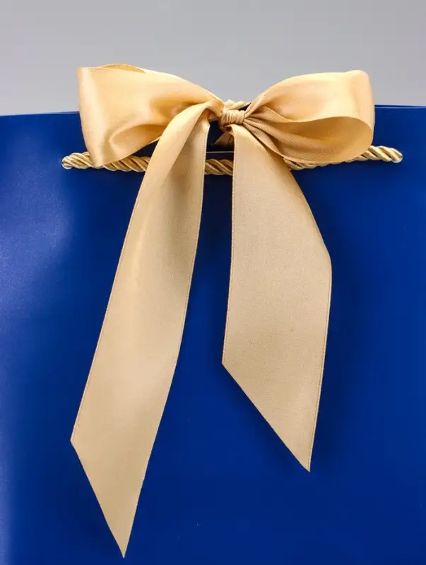 Пакет подарочный ламинированный, с лентой &laquo;Синий&raquo;, горизонтальный 19&times;20&times;9 см