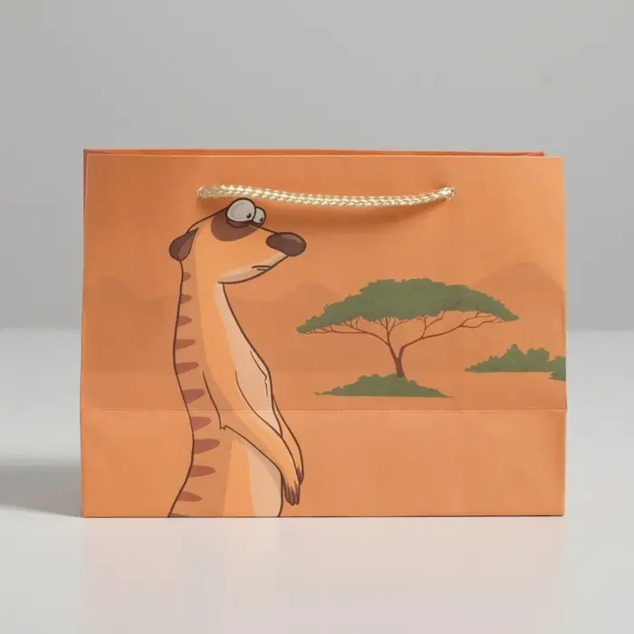 Пакет подарочный, упаковка, Don not worry, 14.5 х 19.5 х 8.5 см