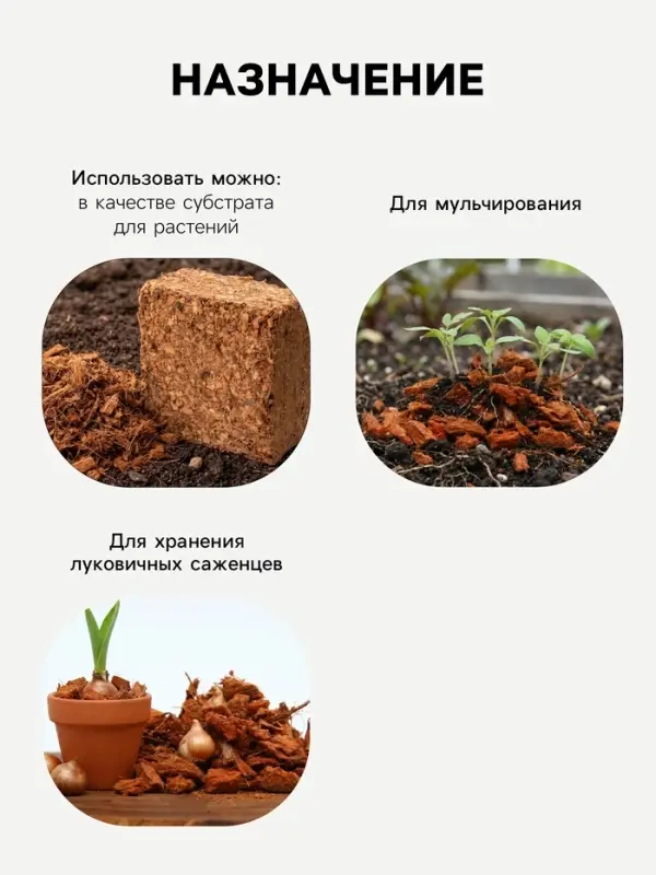 Кокосовые чипсы &laquo;Рецепты Дедушки Никиты&raquo;, 1 л