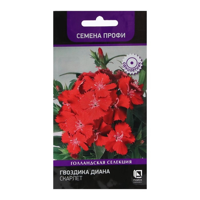 Семена цветов Гвоздика  Семена цветов Гвоздика "Диана Скарлет" 10 шт