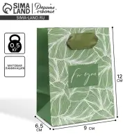 Пакет подарочный ламинированный, упаковка, «Для тебя», 9 х 12 х 6.5 см Пакет подарочный ламинированный, упаковка, «Для тебя», 9 х 12 х 6.5 см