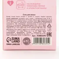 Соль для ванны «Зимняя сказка», аромат мятный пломбир, 300 г, URAL LAB