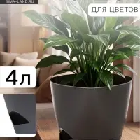 Горшок для цветов &laquo;Элеганс&raquo;, 4 л, d=22 см, h=20 см, пластиковый, с прикорневым поливом, серый