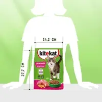 Сухой корм Whiskas для кошек, Телятинка аппетитная, 1.3 кг Сухой корм Whiskas для кошек, Телятинка аппетитная, 1.3 кг
